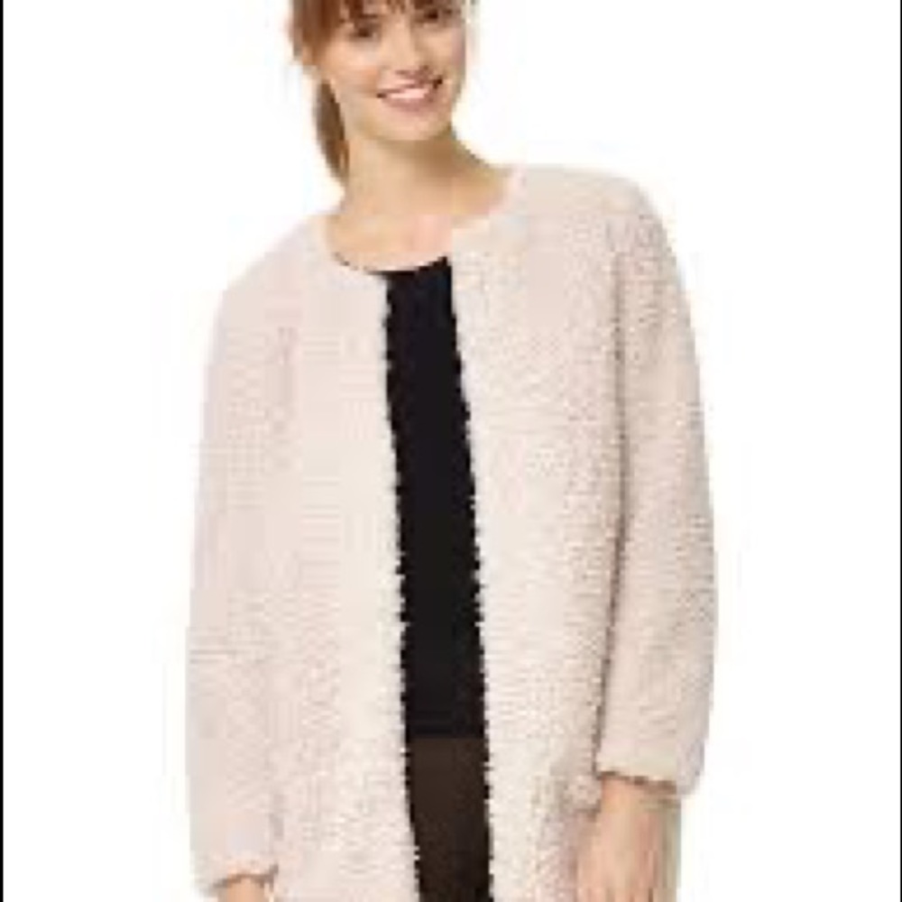 Aritzia Wilfred Laboratoire Coat